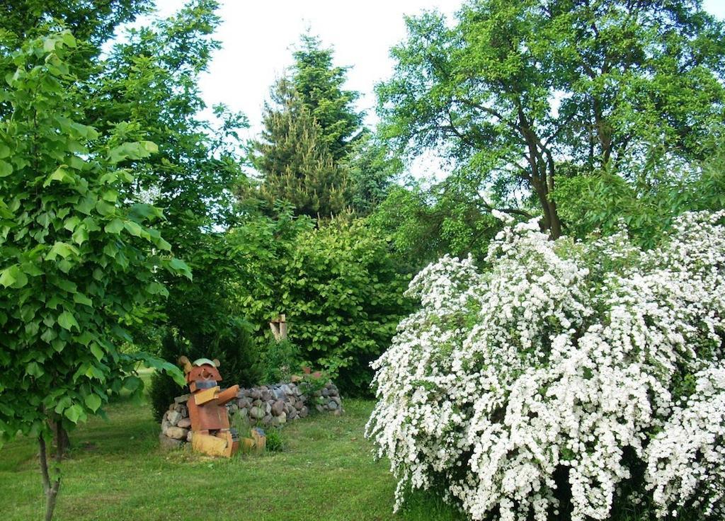 Ferienwohnung Marienkäfer Wulkow  Exterior foto